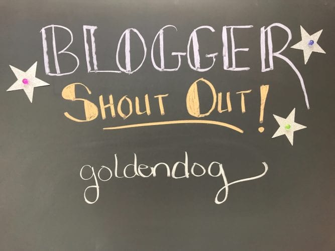 Blogger Shout out!